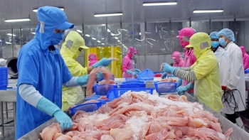 Xuất khẩu cá tra giá trị gia tăng sang Hoa Kỳ đạt cao nhất kể từ đầu năm