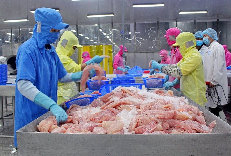 Hoa Kỳ tăng gấp 8,5 lần nhập khẩu các sản phẩm cá tra giá trị gia tăng từ Việt Nam Hoa Kỳ tăng gấp 8,5 lần nhập khẩu các sản phẩm cá tra giá trị gia tăng từ Việt Nam