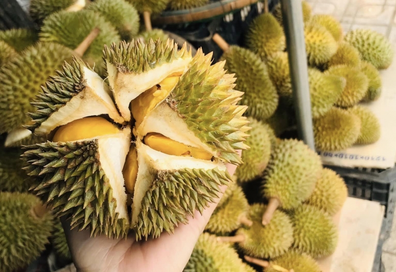 Sầu riêng mini Thái Lan được yêu thích bởi quả nhỏ nhưng vỏ mỏng, nhiều múi, ăn thơm và ngọt.