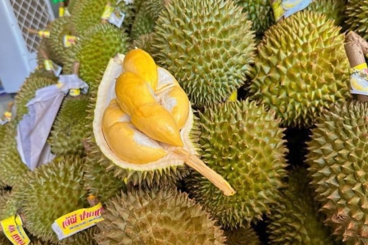 so sánh với sầu riêng Việt Nam thì không bằng, cả về chất lượng lẫn giá bán.