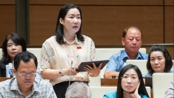 Không nên chuyển hộ kinh doanh sang nhóm đóng bảo hiểm xã hội bắt buộc