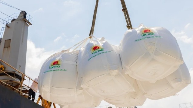 Doanh nghiệp Việt bỏ thầu gạo với giá thấp, ai thiệt hại?