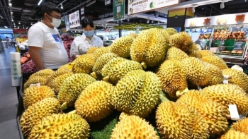 Người Trung Quốc ngày càng mê sầu riêng Việt Nam