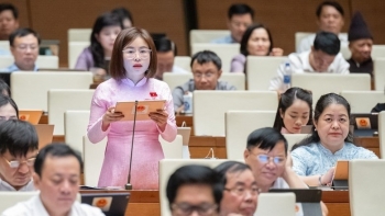 Tăng cường các giải pháp tháo gỡ, hỗ trợ cho doanh nghiệp