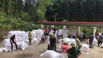 Quy định mới về trợ cấp gạo bảo vệ và phát triển rừng