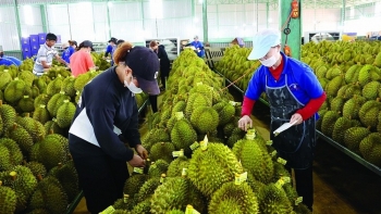 Xuất khẩu rau quả tăng trưởng 2 con số