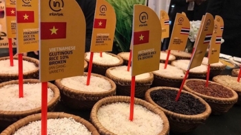 Người Philippines ưa chuộng gạo của Việt Nam