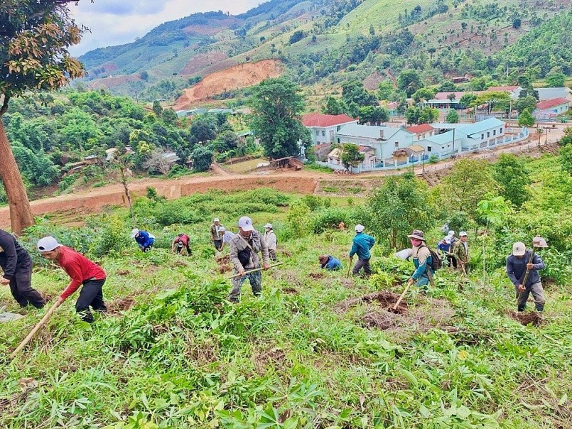 Hàng trăm nghìn cây xanh được huyện Tu Mơ Rông trồng vào dịp Tết trồng cây