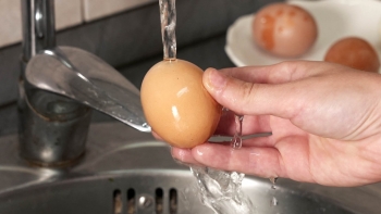 Có nên rửa trứng trước khi cho vào tủ lạnh?