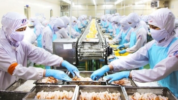 Doanh nghiệp thủy sản gặp khó tại thị trường EU