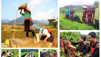 Xây dựng cơ sở dữ liệu về giám sát, đánh giá các chương trình mục tiêu quốc gia