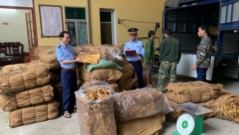 Phát hiện xe tải vận chuyển gần 15 tấn nguyên liệu thuốc lá không rõ nguồn gốc