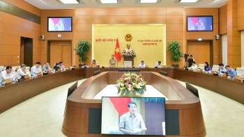 Thống nhất chuyển mục đích sử dụng đất rừng, đất lúa thực hiện dự án cao tốc Bắc – Nam