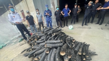 Hải quan Châu Á - Thái Bình Dương tích cực triển khai Chiến dịch Con Rồng Mê Kông 6