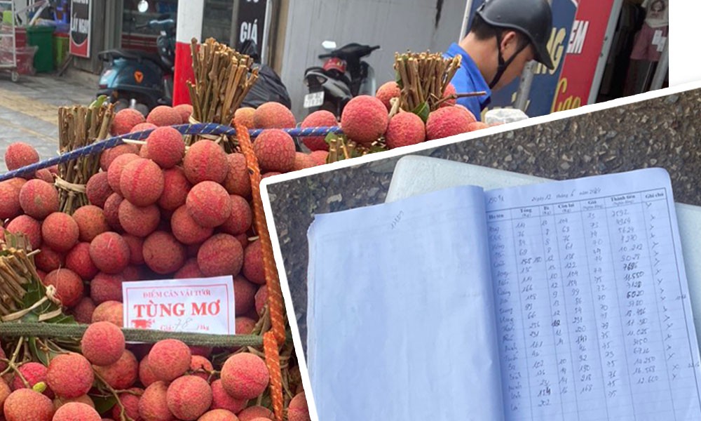 Bảng giá thu mua vải thiều sáng 12/6 tại điểm cân Tùng Mơ, phố Kép, xã Hồng Giang. Ảnh Bảo Lâm Bảng giá thu mua vải thiều sáng 12/6 tại điểm cân Tùng Mơ, phố Kép, xã Hồng Giang. Ảnh Bảo Lâm