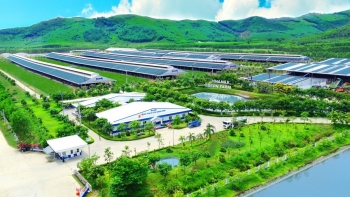 Hệ sinh thái “Net Zero” đã vượt ra ngoài những trang trại xanh của Vinamilk