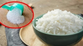 Mẹo nhỏ giúp diệt gián hiệu quả