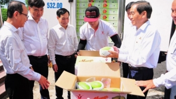 Xuất khẩu 2 tấn xoài sang Australia và Hoa Kỳ - đánh dấu sự chuyển mình của ngành nông nghiệp