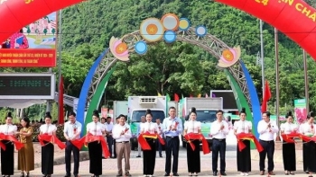 Thanh long ruột đỏ của Sơn La chinh phục thị trường Italia