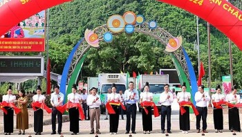 Thanh long ruột đỏ của Sơn La chinh phục thị trường Italia