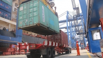 Vì sao nông sản xuất khẩu thường xuyên bị “rút ruột”?