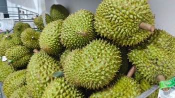 Giá sầu riêng “nhảy múa” từng ngày