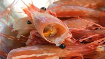 Tác dụng bất ngờ từ vỏ tôm