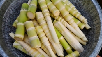 Cách loại bỏ độc tố từ măng tươi