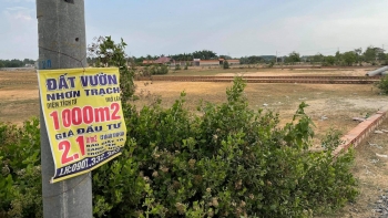 Xuất hiện trào lưu săn mua đất không sổ đón đầu luật mới: Mạo hiểm và rất rủi ro