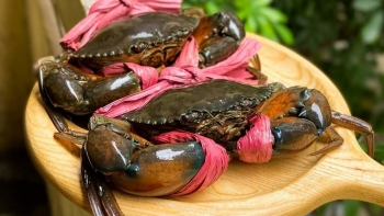 Gỡ bỏ rào cản “thẻ vàng” IUU để cua ghẹ xuất khẩu bền vững