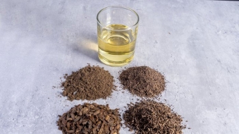 Sản xuất thức ăn côn trùng ở châu Á có nhiều tiềm năng phát triển