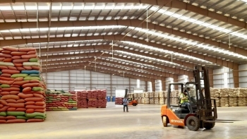 Lượng cà phê trong kho chỉ đủ bán đến tháng 6/2024?