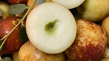 Gợi ý thực đơn trái cây hàng tuần cho cơ thể khỏe mạnh