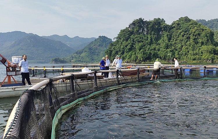 Giá trị kim ngạch xuất khẩu thủy sản của Việt Nam, 6 tháng đầu năm, đạt 4,355 tỷ USD, tăng 4,9% cùng kỳ năm 2023