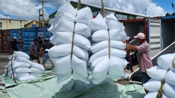 Xuất khẩu gạo từ nay đến cuối năm có nhiều ẩn số