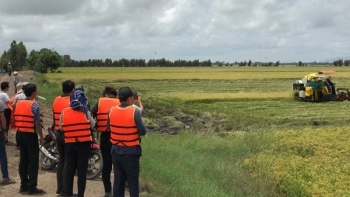 Chủ tịch Tân Long khẳng định không có liên quan gì tới Bulog