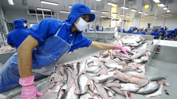 Hiệp định CPTPP trợ lực giúp ngành thủy sản “cất cánh”