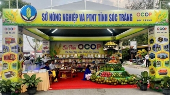 Gỡ điểm nghẽn vốn, đưa sản phẩm OCOP vươn xa