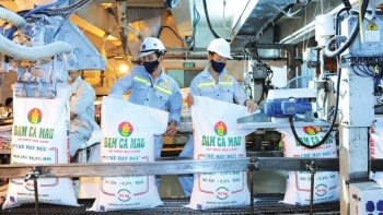 Xuất khẩu phân bón tăng mạnh, “soi” doanh thu, lợi nhuận của các doanh nghiệp trong ngành