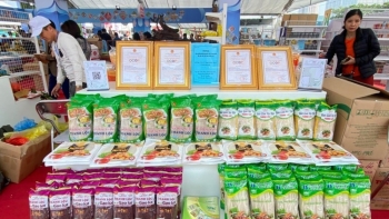 Bún khô gạo lứt Thanh Lộc