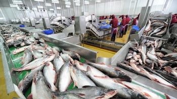 Cách nào để gia tăng kim ngạch xuất khẩu cá tra sang thị trường UAE?