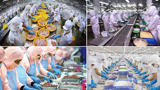 Chính phủ giao cơ quan chức năng giải quyết sớm 3 kiến nghị của VASEP