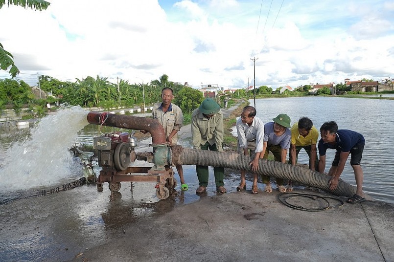 Nam Định mưa lớn kéo dài, hơn ba chục nghìn héc ta lúa vừa gieo cấy ngập úng , người dân chịu cảnh "mất trắng"