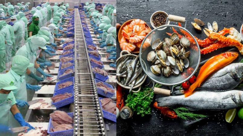 Bộ Nông nghiệp và Phát triển nông thôn đề xuất sửa quy định thẩm định, chứng nhận cơ sở sản xuất, kinh doanh thực phẩm nông, lâm, thủy sản đủ điều kiện bảo đảm an toàn thực phẩm thuộc phạm vi quản lý của Bộ Bộ Nông nghiệp và Phát triển nông thôn đề xuất sửa quy định thẩm định, chứng nhận cơ sở sản xuất, kinh doanh thực phẩm nông, lâm, thủy sản đủ điều kiện bảo đảm an toàn thực phẩm thuộc phạm vi quản lý của Bộ