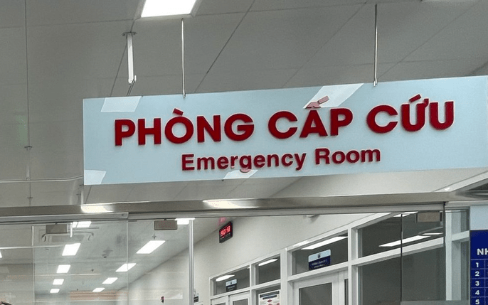 Cần đề phòng rắn lục đuôi đỏ cắn trong thời tiết mưa nhiều