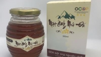 Mật ong núi đá - sản phẩm OCOP 3 sao của xã Xuân Quang