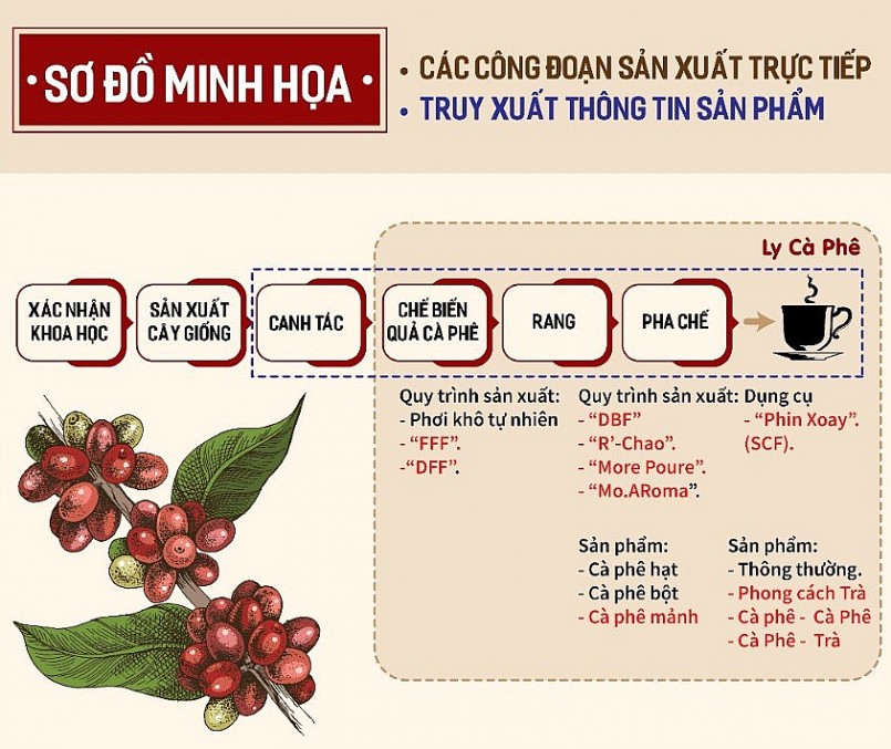 Thưởng thức và cảm nhận sự khác biệt cà phê Việt