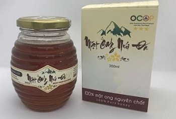 Mật ong núi đá - sản phẩm OCOP 3 sao của xã Xuân Quang