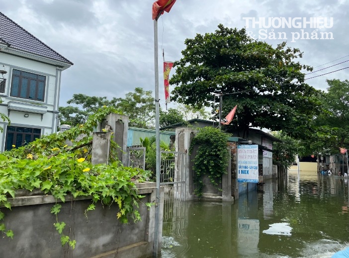 Người dân vùng lũ Chương Mỹ "khốn khổ" sống giữa biển nước, hoạt động sản xuất kinh doanh bị xáo trộn