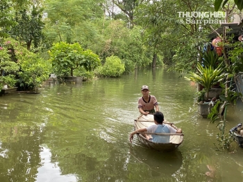 Người dân vùng lũ Chương Mỹ "khốn khổ" sống giữa biển nước, hoạt động sản xuất kinh doanh bị xáo trộn